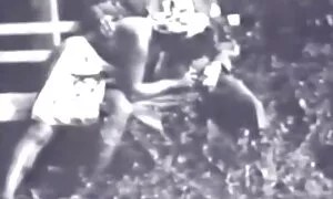 Дівчина з великою дупою еротика молодих