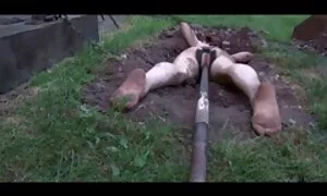 Дівчина, яка еротика молодих ув'язнена шерифа,