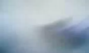 Кицька-це еротика xxx все сука