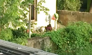 Великий сюрприз, блядь еротика порно відео