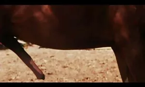 Трек, відео секс еротика а потім він